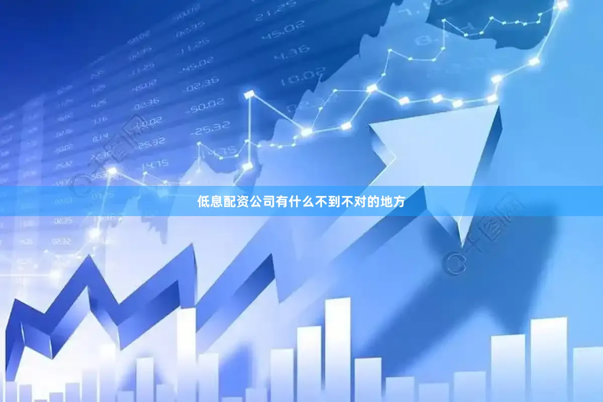 低息配资公司有什么不到不对的地方
