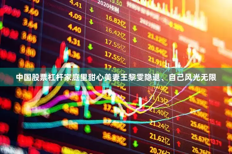 中国股票杠杆家庭里甜心美妻王黎雯隐退、自己风光无限