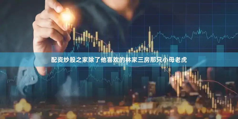 配资炒股之家除了他喜欢的林家三房那只小母老虎